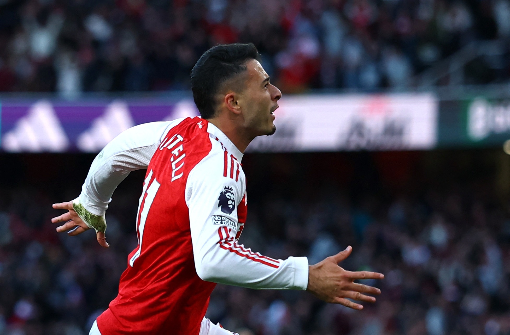 Con qua som de gach ten Martinelli hinh anh