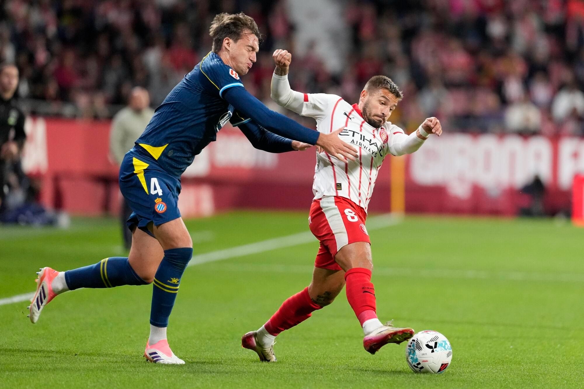 Girona chim trong khung hoang hinh anh