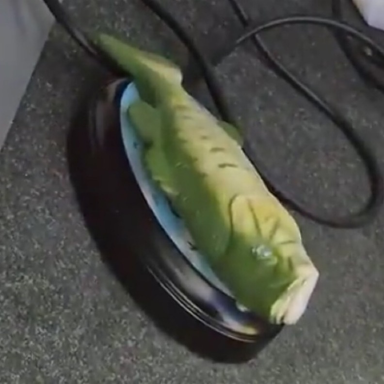 Alonso nhan mon qua ky la o Kazakhstan hinh anh