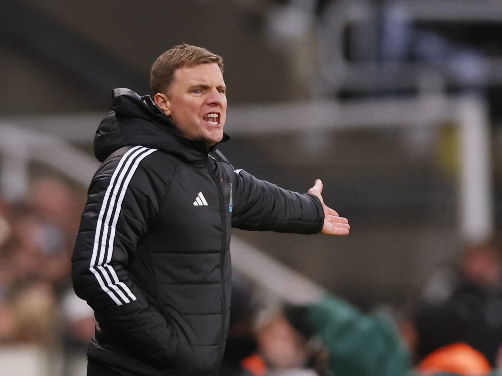 Newcastle tra gia cua mot mua he sai lam hinh anh