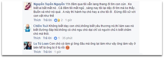 Chú chó bị túm cổ ảnh 1 Chu cho bi tum co anh 1