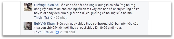 Chú chó bị túm cổ ảnh 2 Chu cho bi tum co anh 2