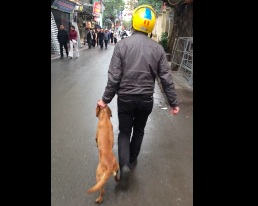 Chu cho bi chu tum co keo le tren duong hinh anh