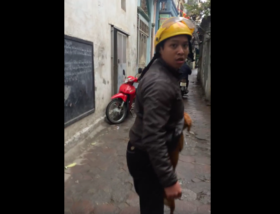 Chu cho bi tum co vi bo tron hinh anh