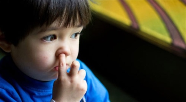 An gi mui tot cho suc khoe hinh anh