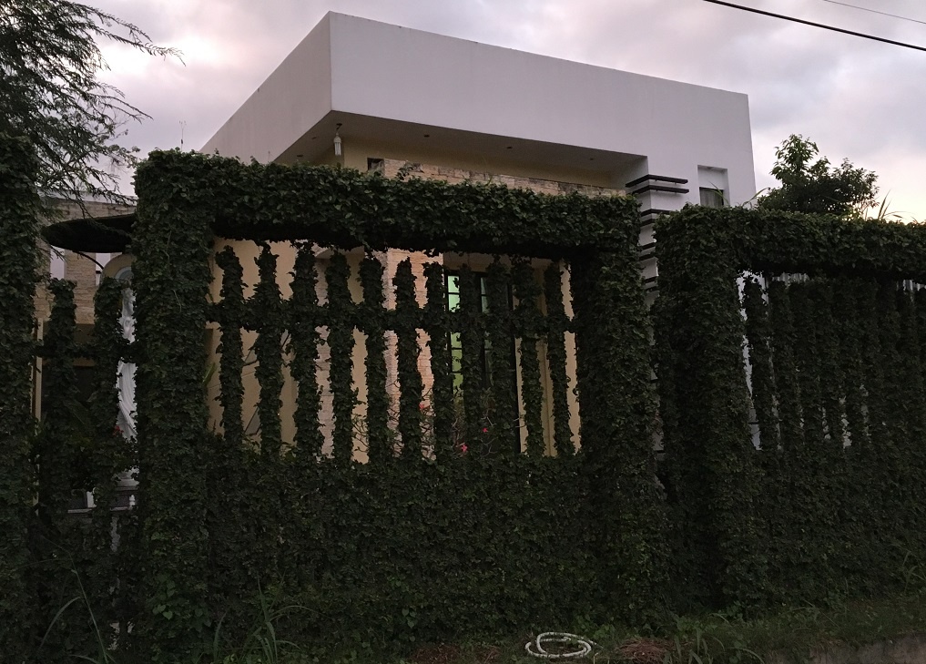 Nguyen Hai Duong anh 2