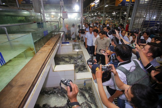 Phó Thủ tướng Vũ Đức Đam thăm chợ Bình Điền ảnh 6 Pho Thu tuong Vu Duc Dam tham cho Binh Dien anh 6