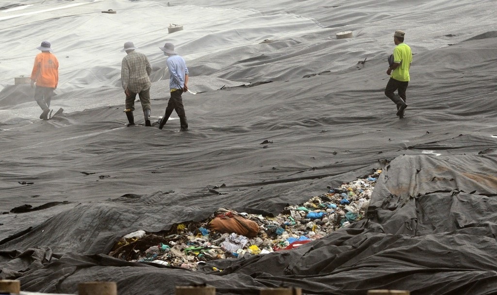 Nguoi dan TP.HCM co the de nghi dieu tra cong ty cua David Duong o My? hinh anh