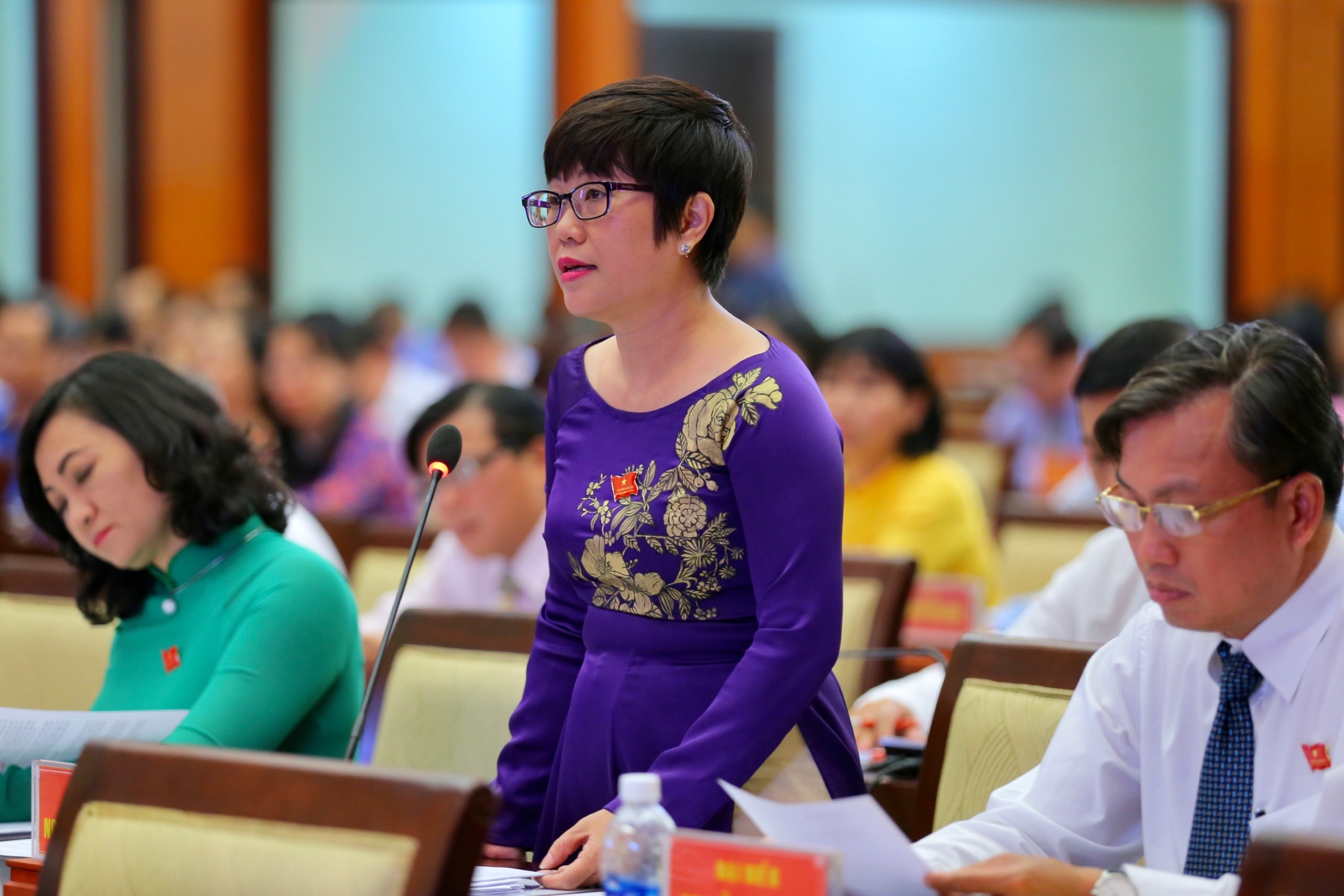 kỳ họp HĐND TP.HCM khóa IX ảnh 2 ky hop HDND TP.HCM khoa IX anh 2