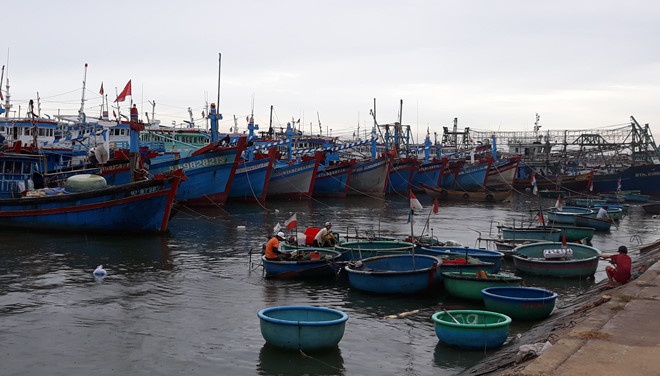 Khanh Hoa mua lon, Binh Thuan cam tau thuyen ra khoi hinh anh
