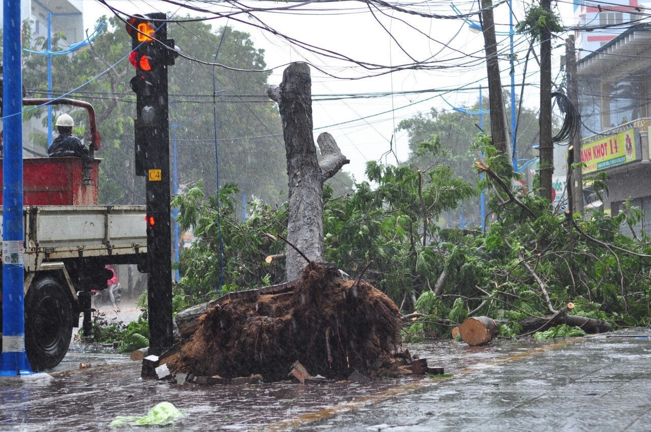 lỡ quét sạt lở ảnh 2 lo quet sat lo anh 2