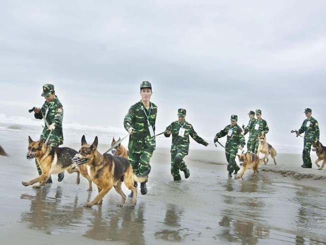 chó nghiệp vụ ảnh 2 cho nghiep vu anh 2