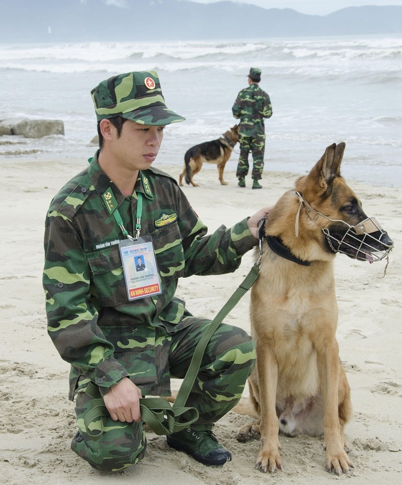 chó nghiệp vụ ảnh 1 cho nghiep vu anh 1