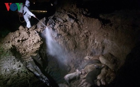 dich ta lon Chau Phi anh 1