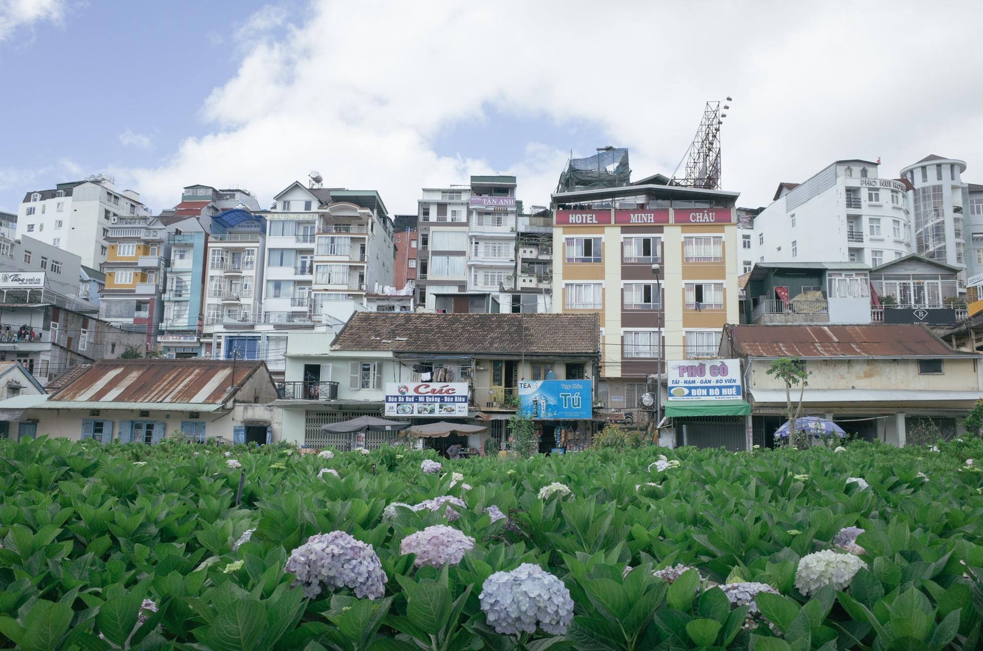 quy hoạch khu Hòa Bình, ảnh 6 quy hoach khu Hoa Binh, anh 6