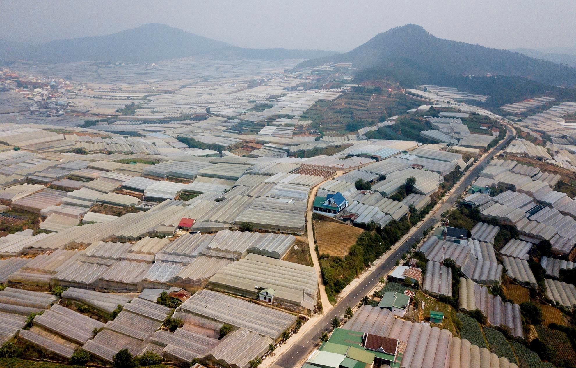 ngap o Phu Quoc va Da Lat anh 5