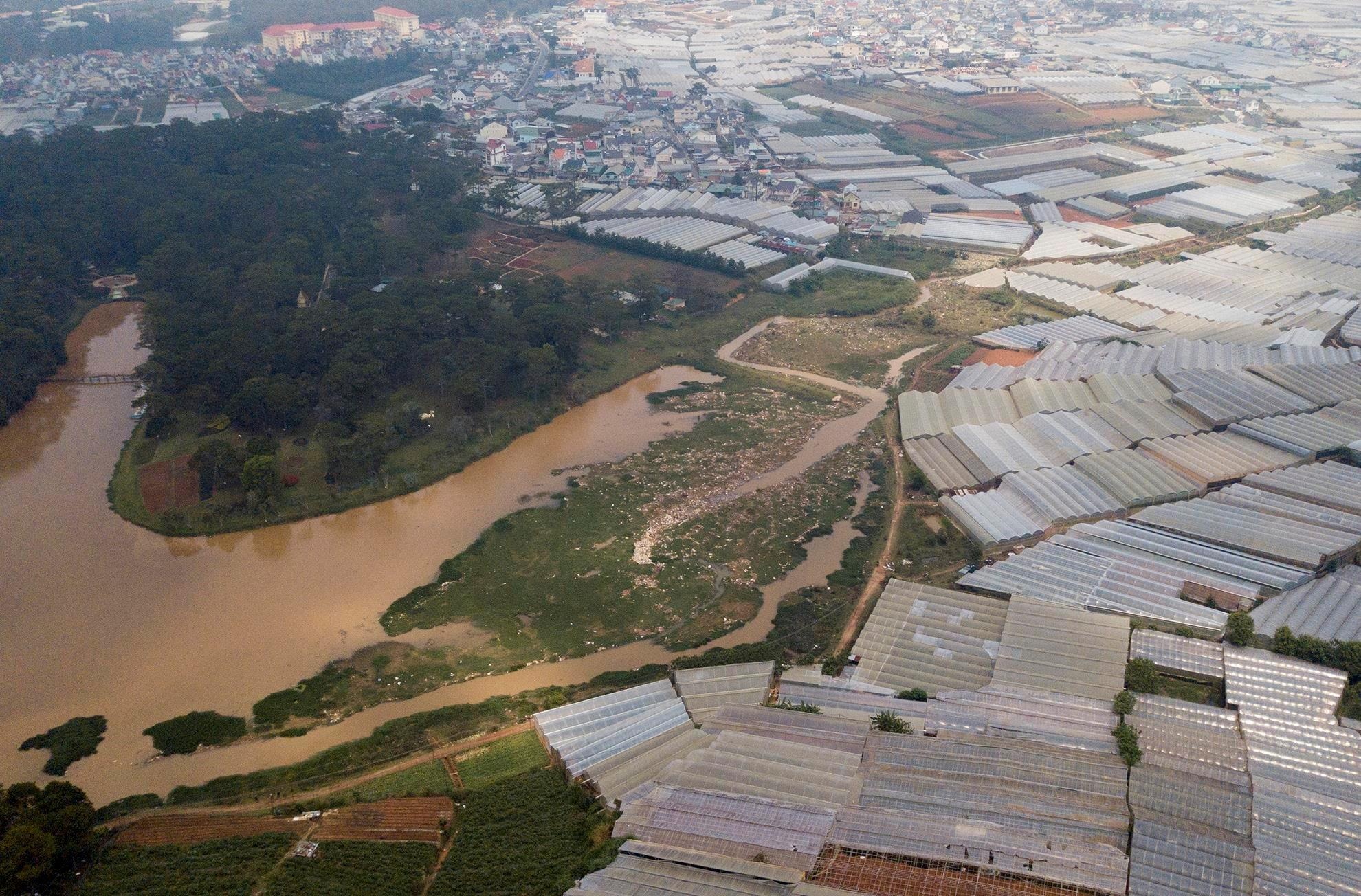ngap o Phu Quoc va Da Lat anh 7