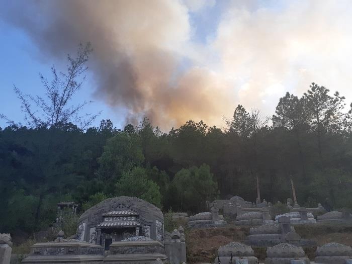 chay rung thong o Hue anh 1