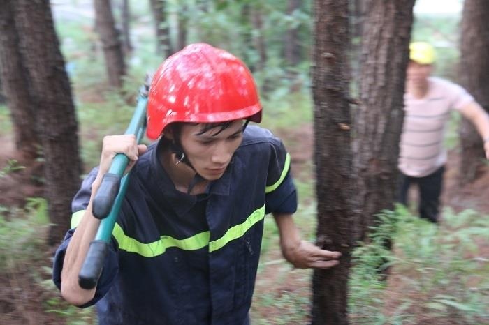 chay rung thong o Hue anh 2