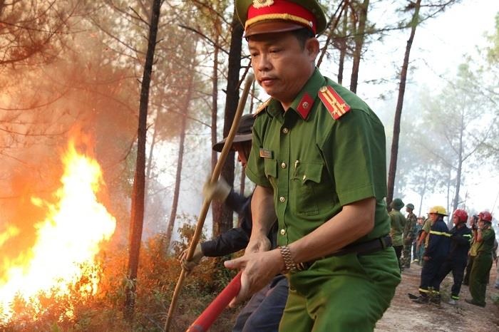 chay rung thong o Hue anh 7