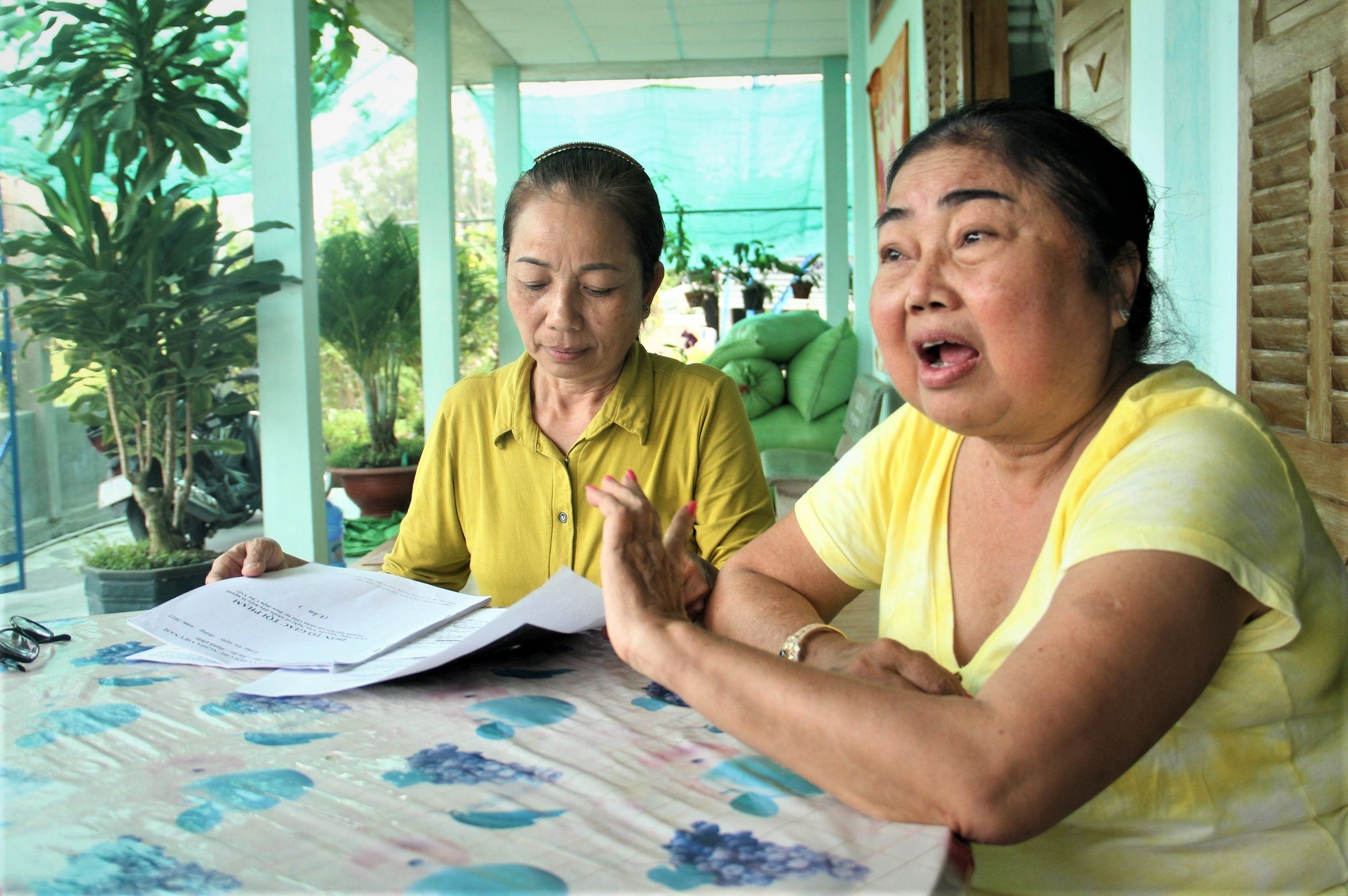 me tu tu Ho Duy Hai anh 2