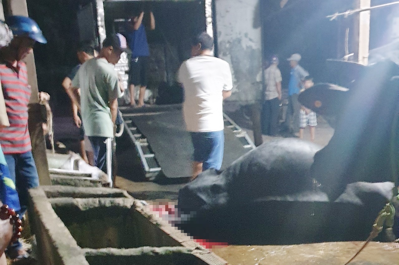 Tuan Khi tron thoat anh 1