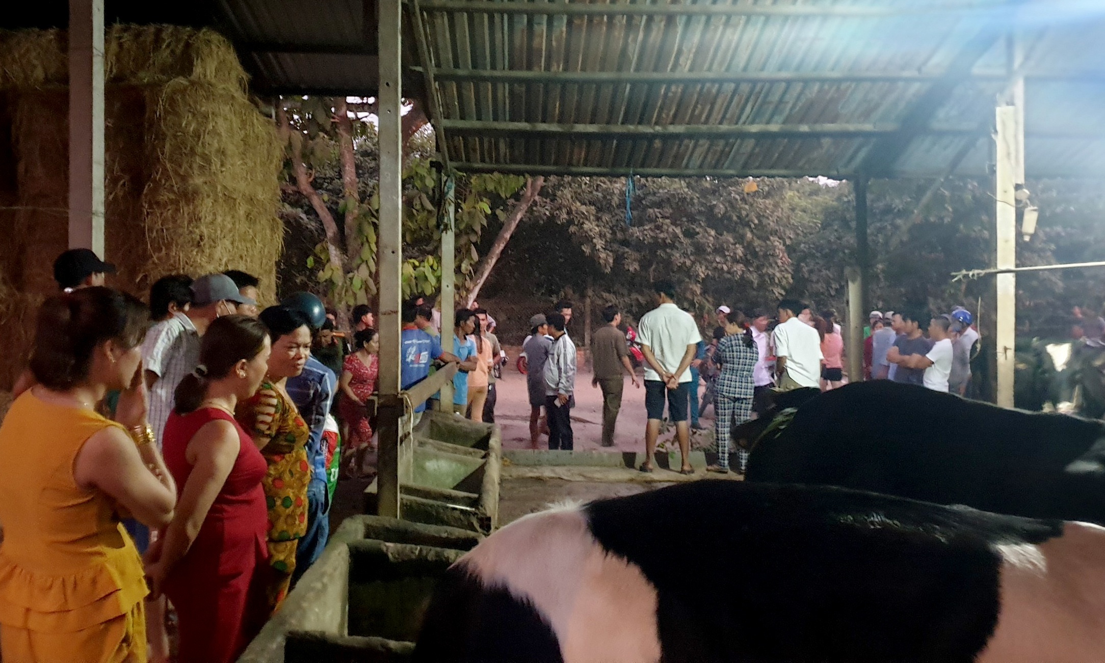 Tuấn Khỉ bị tiêu diệt ảnh 1 Tuan Khi bi tieu diet anh 1