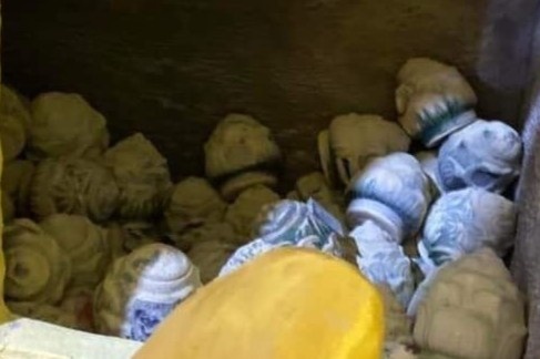 'De hu tro cot bua bai la hanh vi tac trach' hinh anh