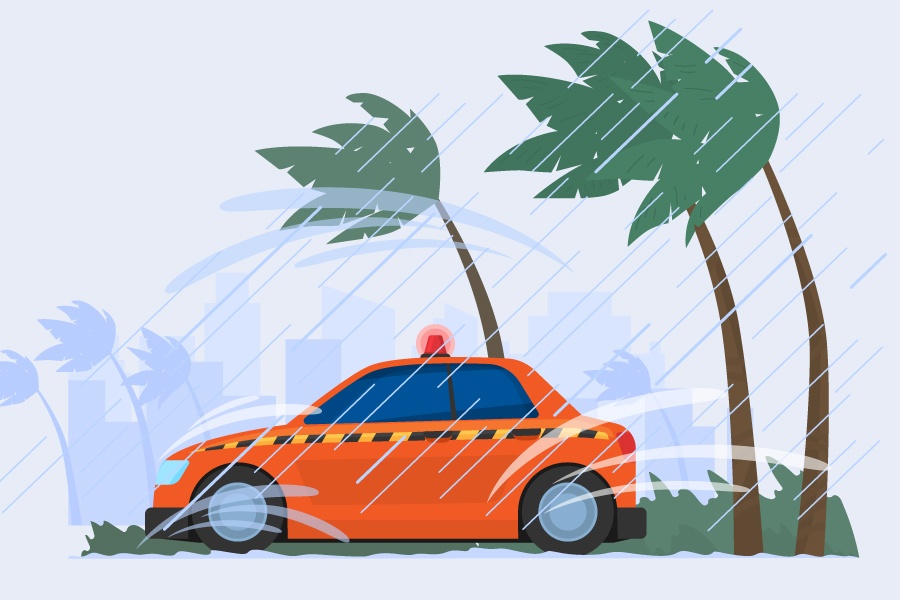 Nhung viec can lam truoc khi bao do bo hinh anh