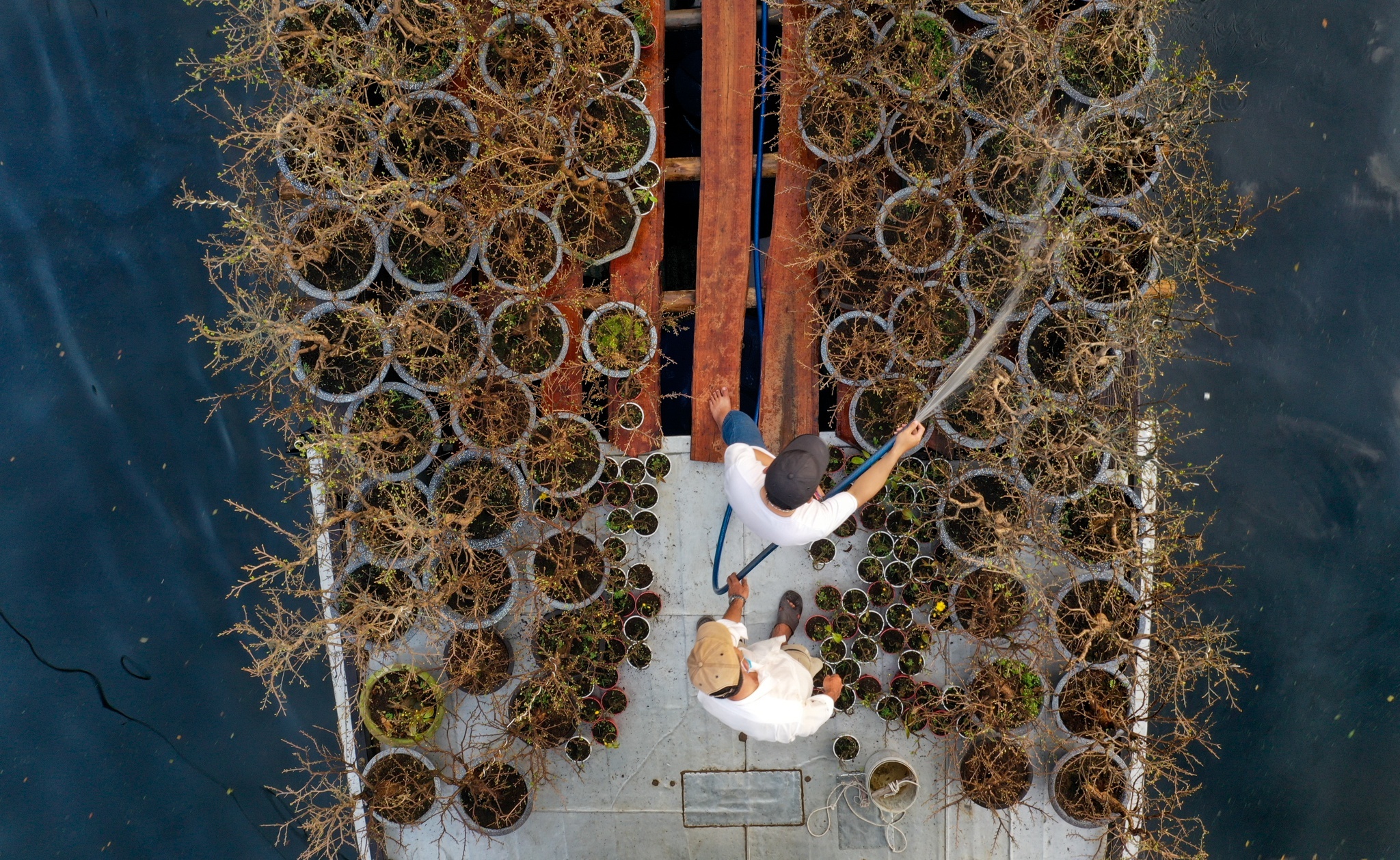 cho hoa ben binh dong anh 4