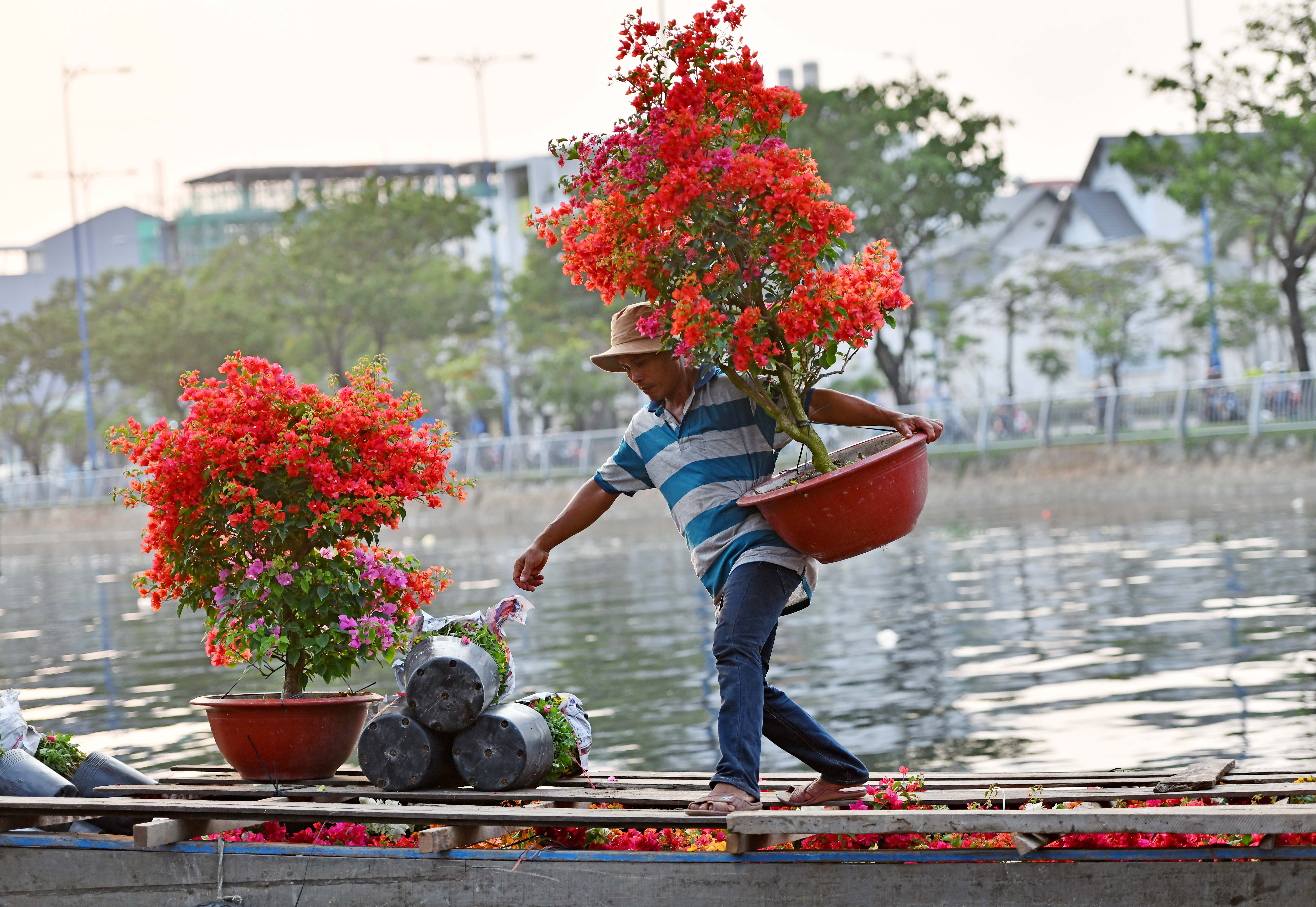 cho hoa ben binh dong anh 3