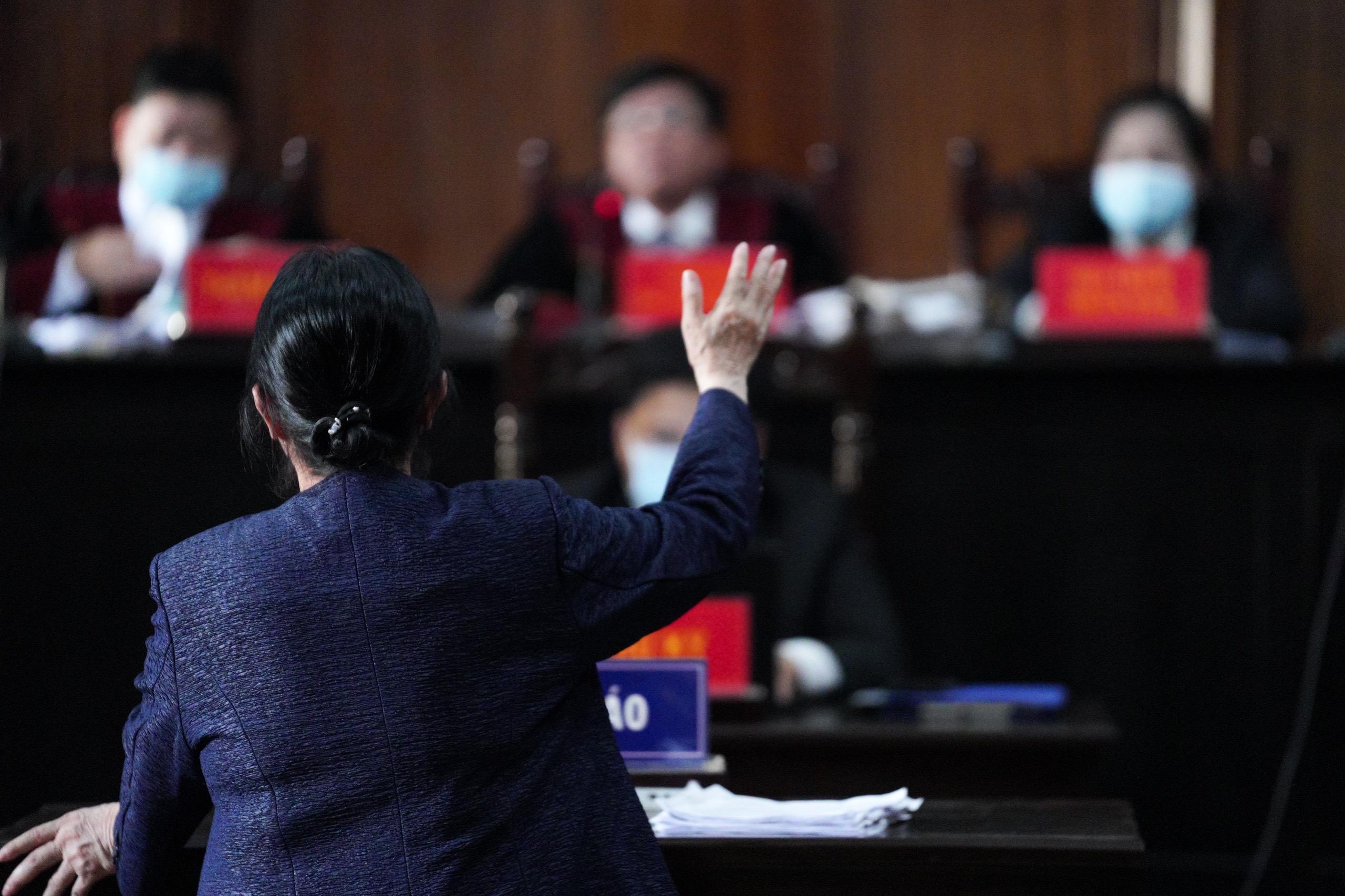 duong thi bach diep anh 1