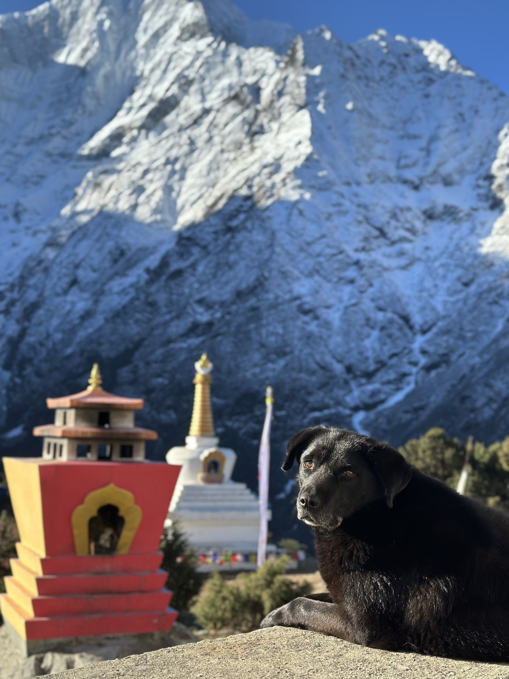 everest base camp ảnh 3 everest base camp anh 3