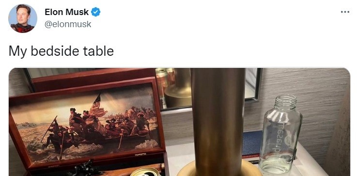 Elon Musk doc sach anh 1