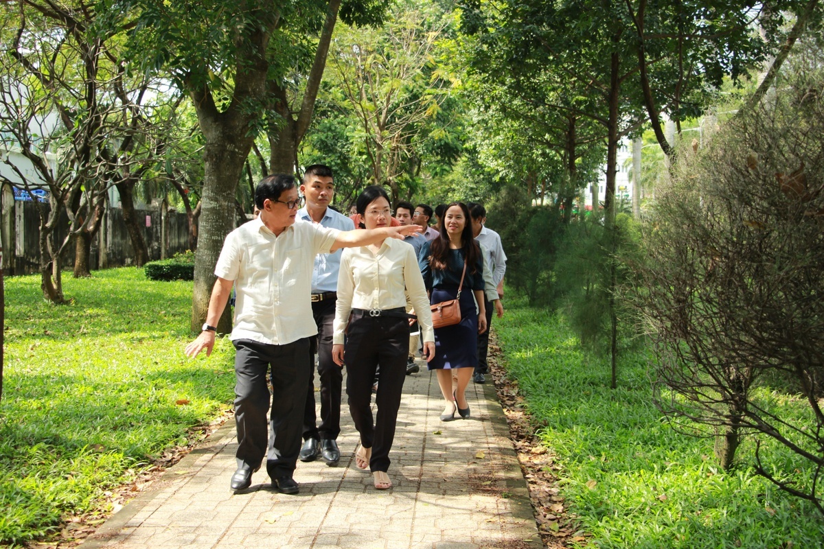 Mo hinh duong sach anh 2