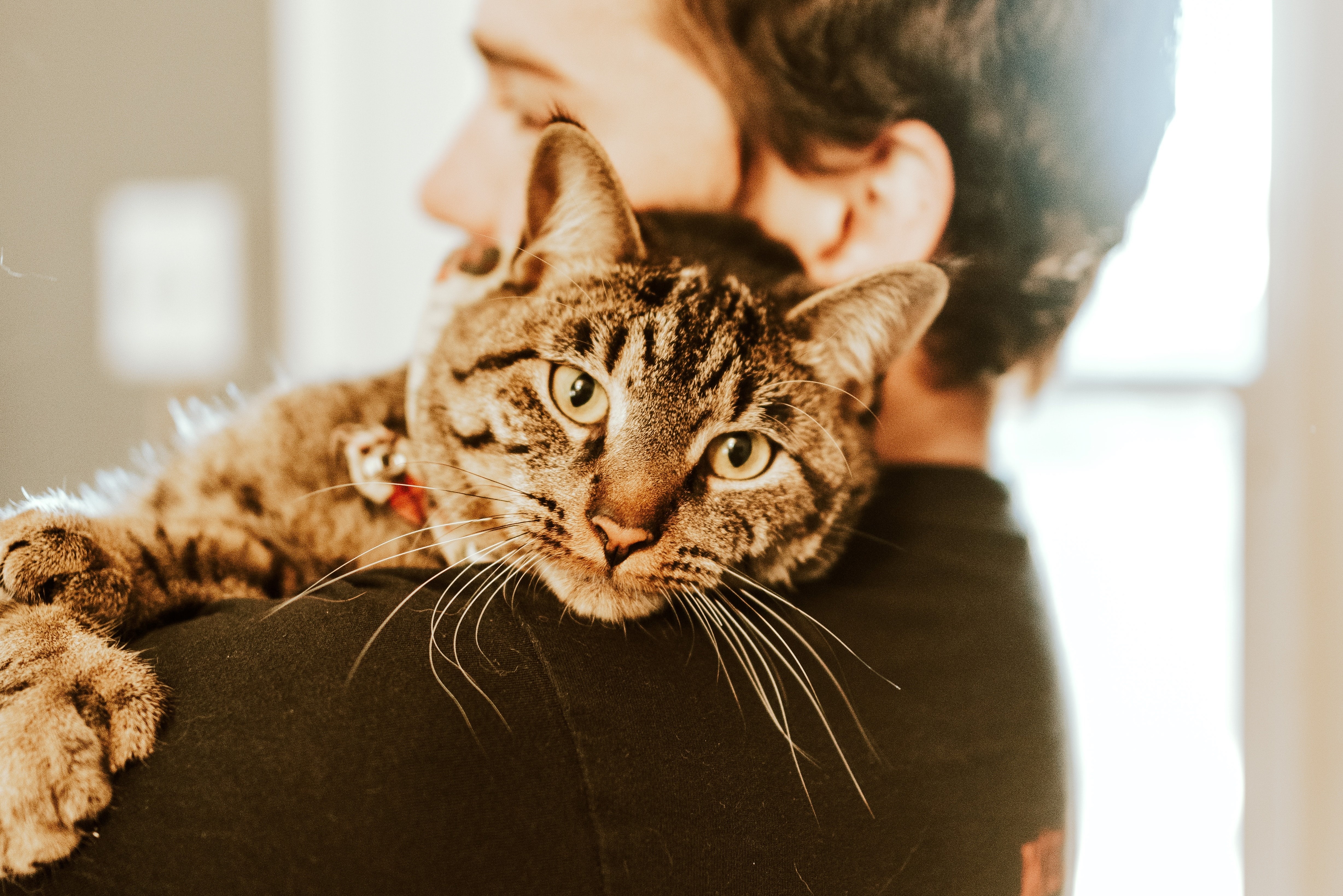 Sinh vat ky thu hinh anh