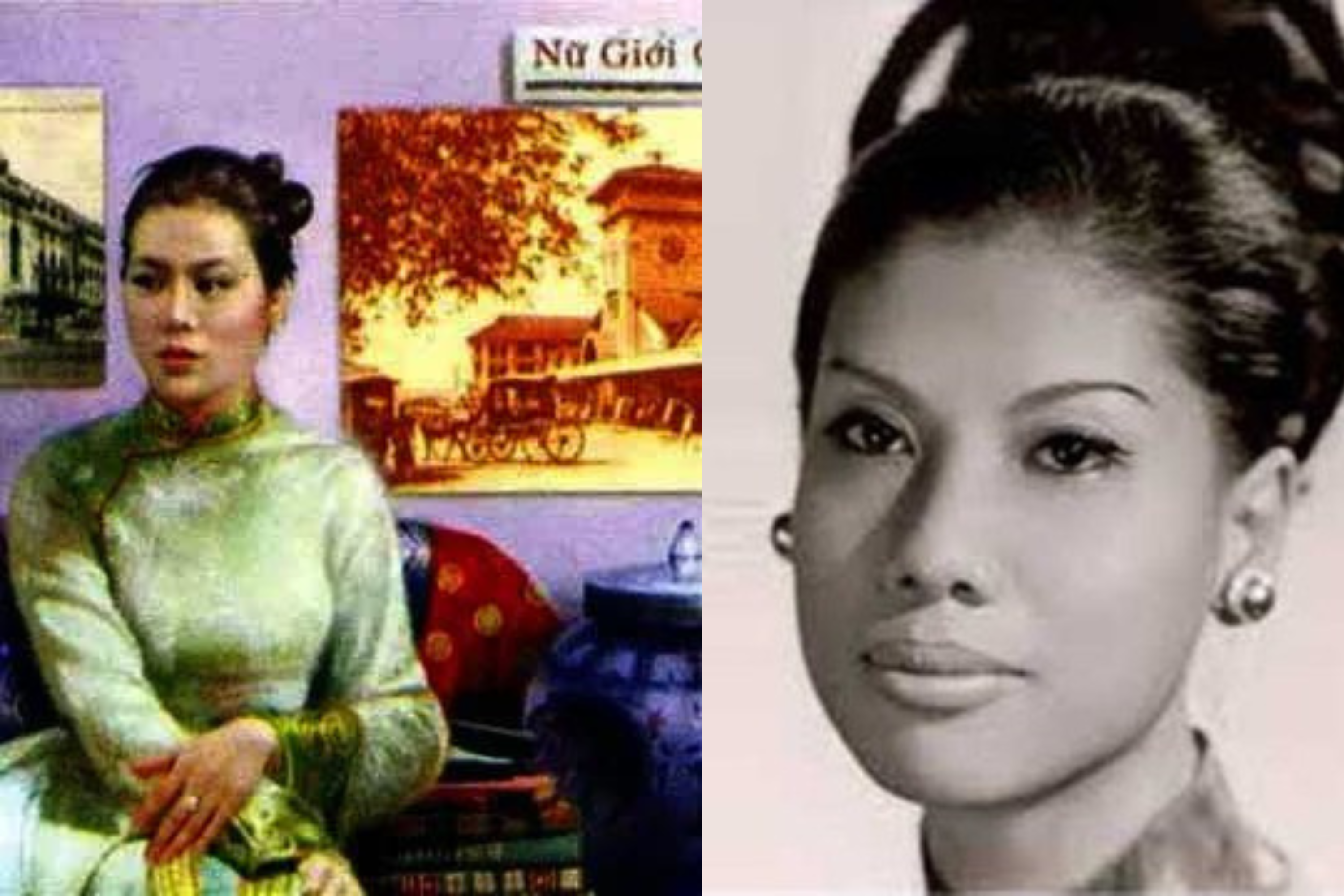 Google xin loi vi su co nham lan anh nu si Suong Nguyet Anh hinh anh