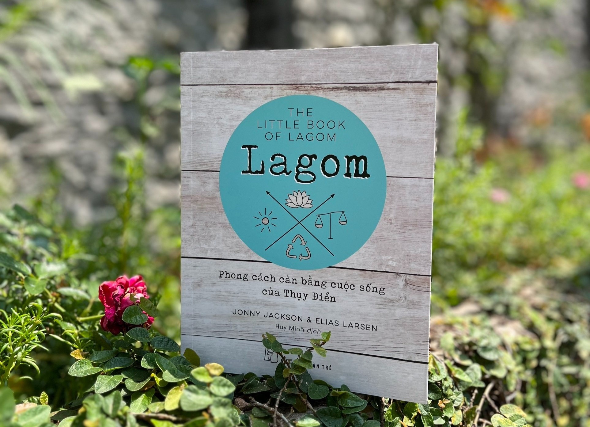 Sach chua lanh anh 2