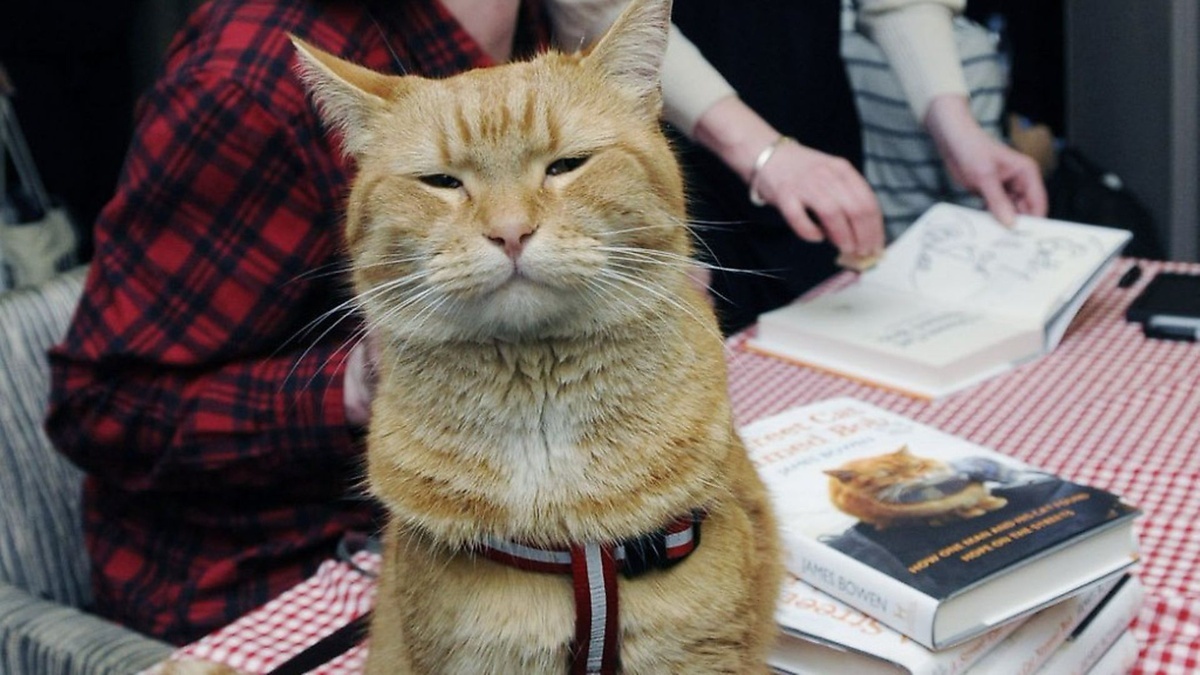 sach truyen cam hung anh 2