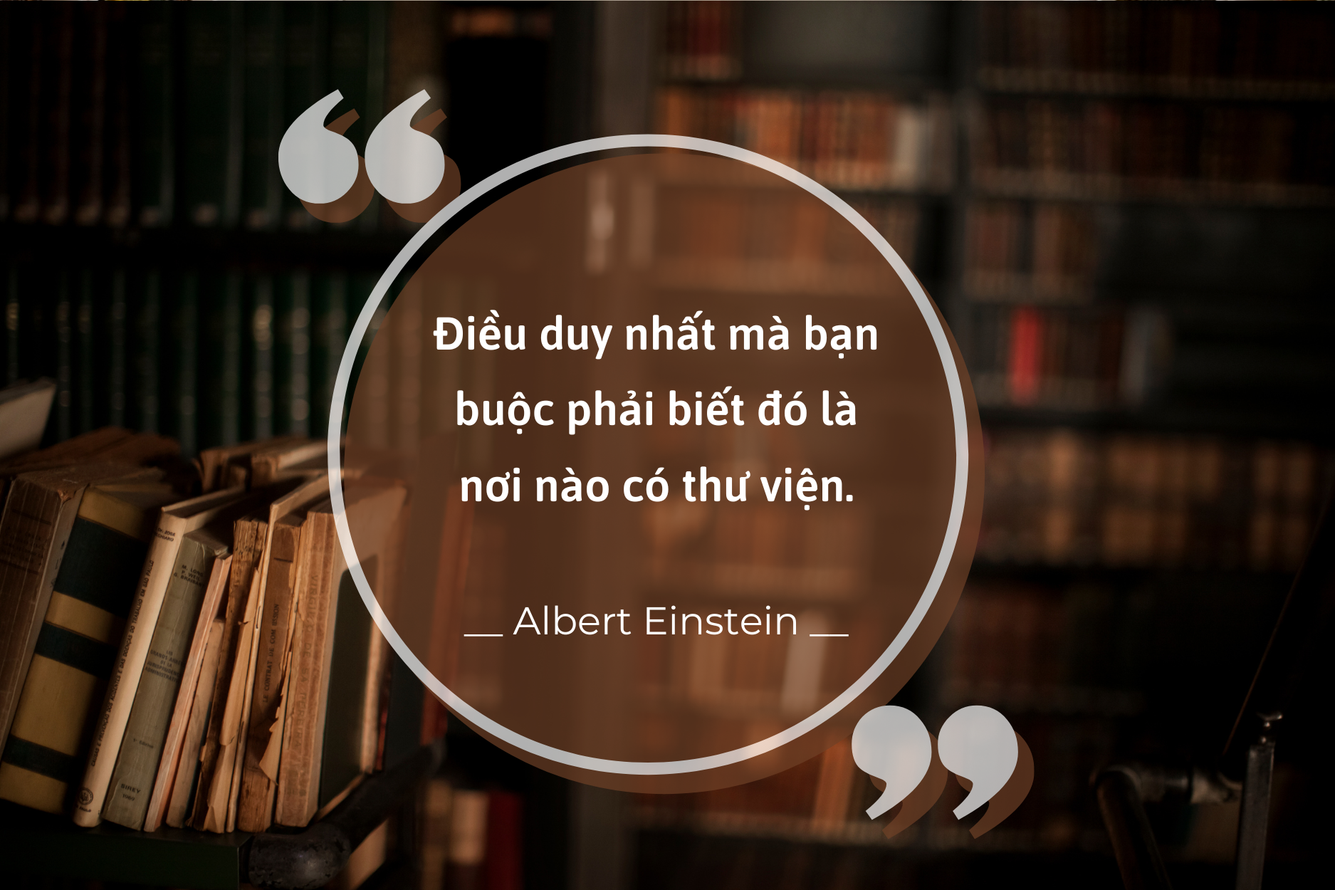 tu sach gia dinh anh 2