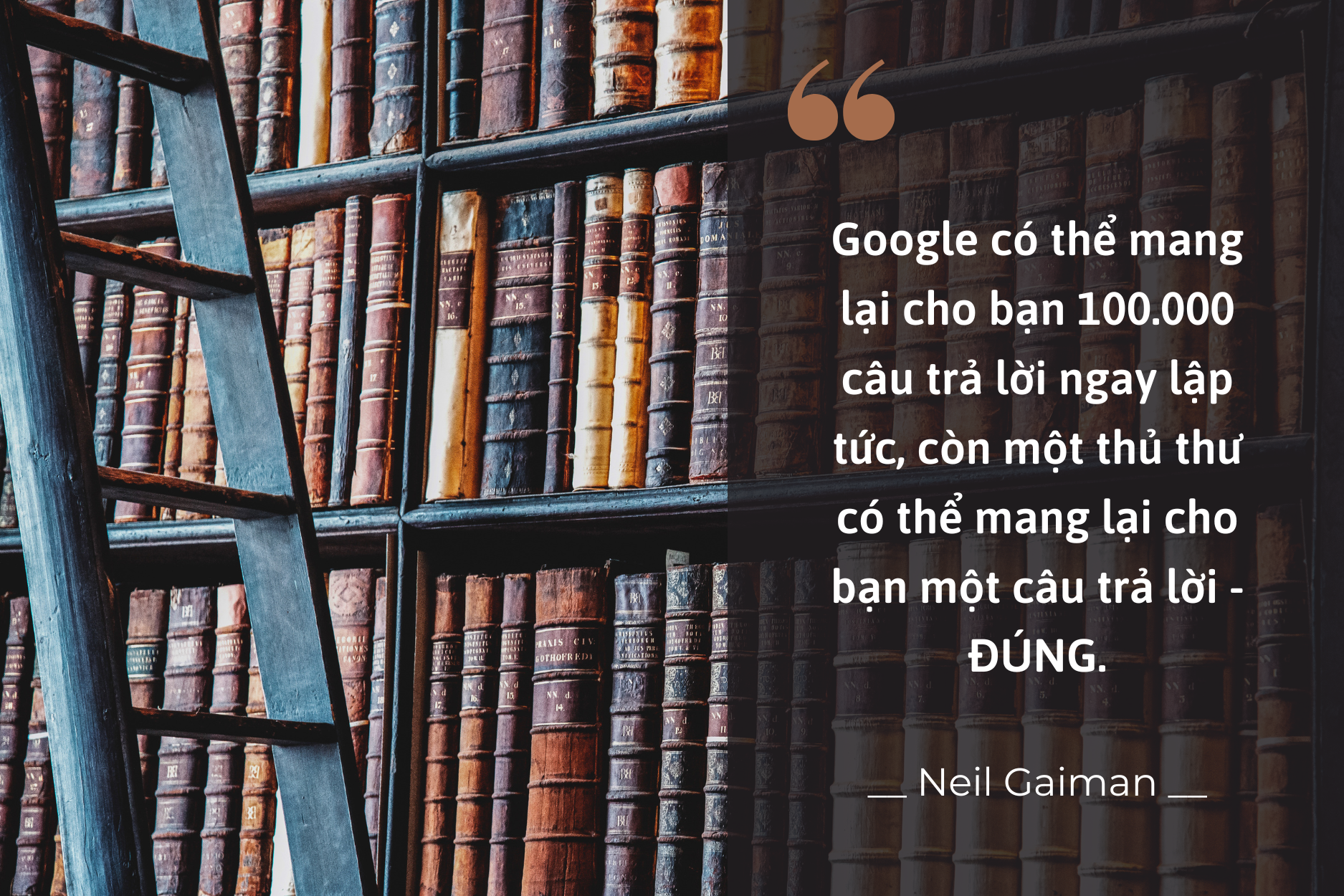 tu sach gia dinh anh 4