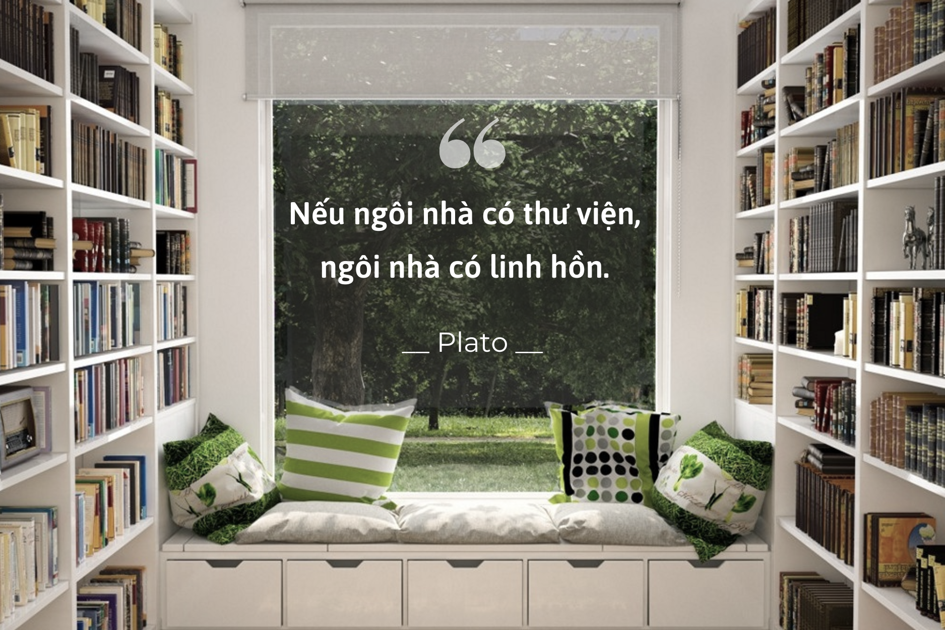 tu sach gia dinh anh 8