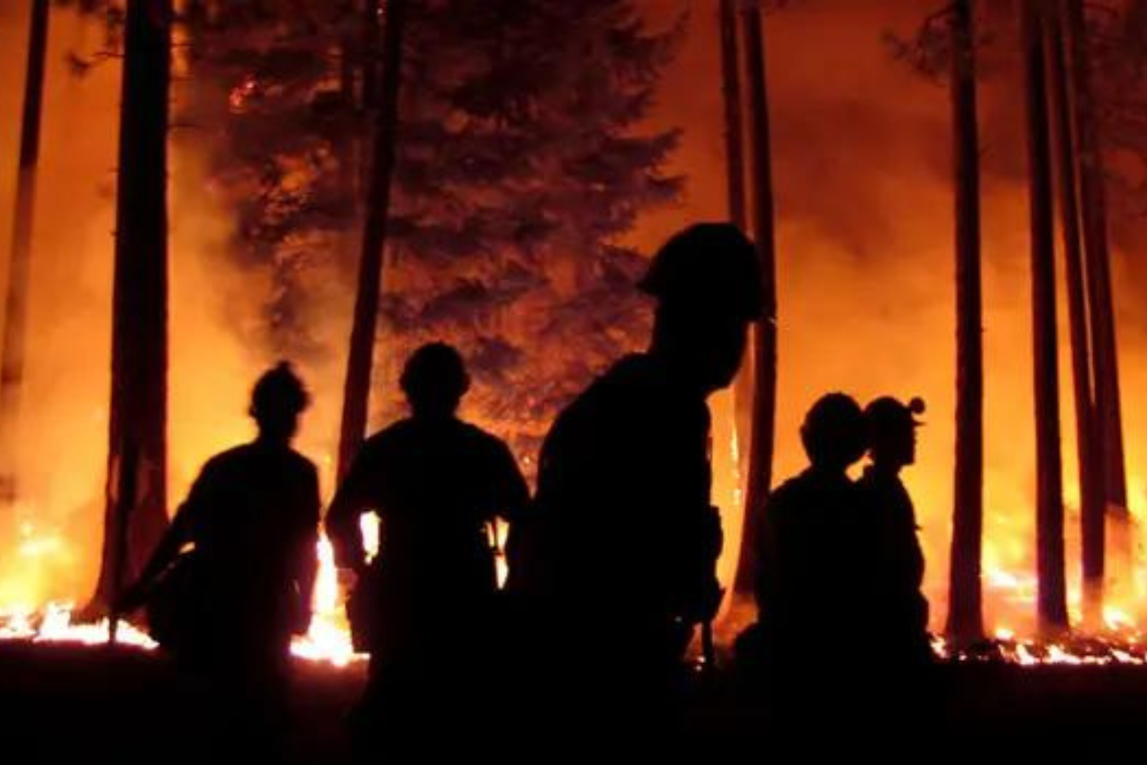 Khi thien tai khong con la tu nhien hinh anh