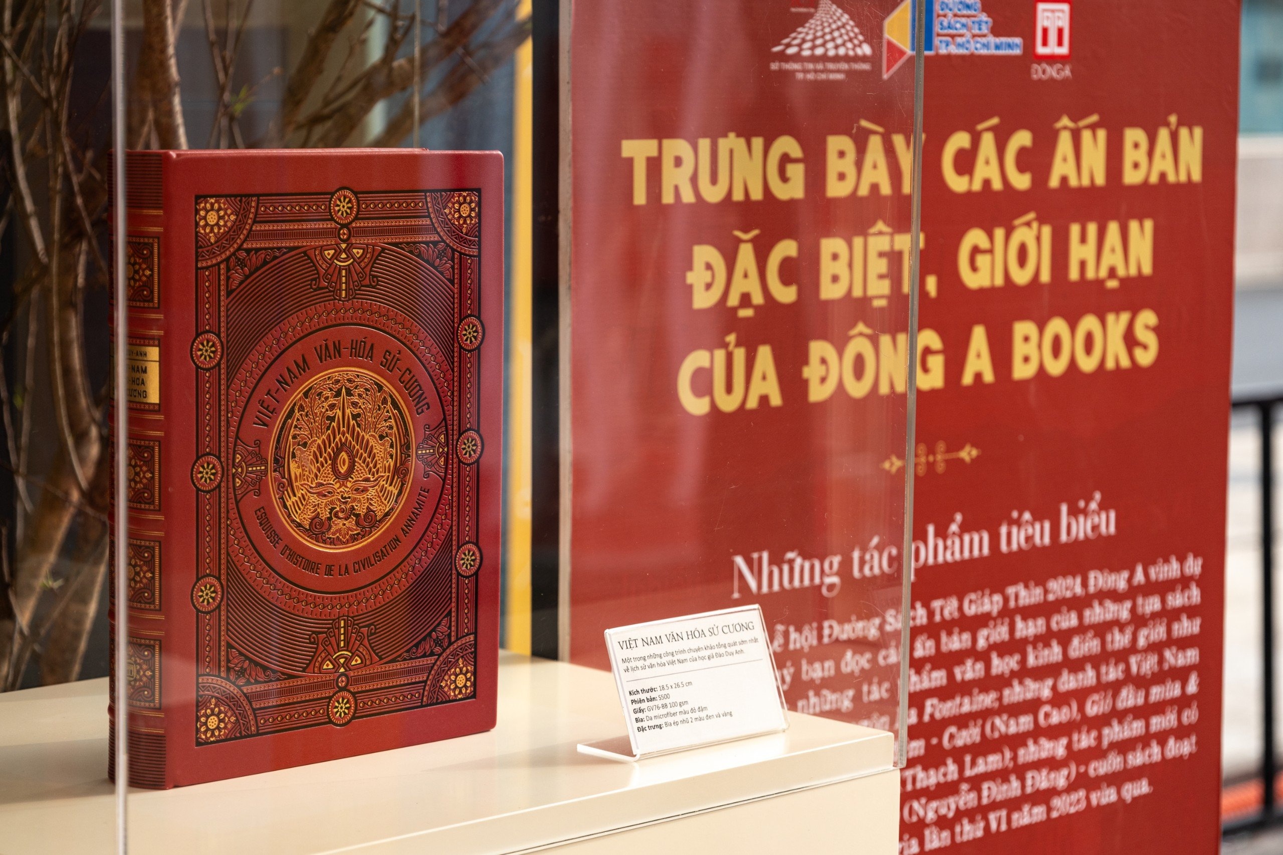 Duong sach Tet 2024 anh 7