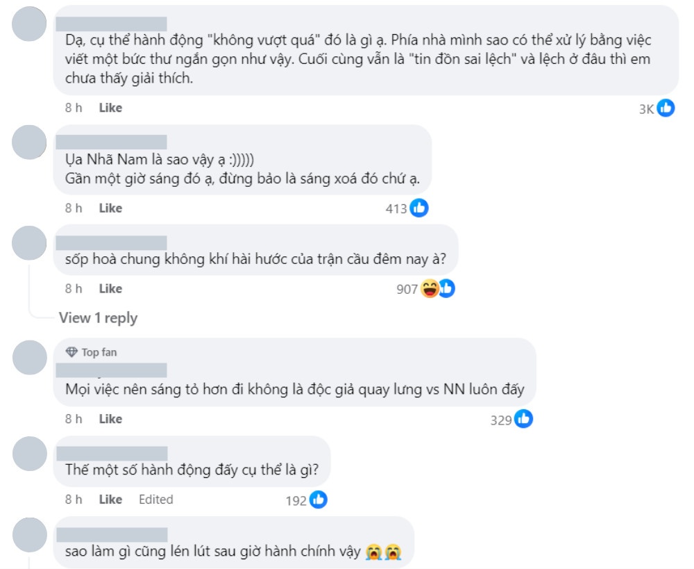 Nguyen Nhat Anh anh 2