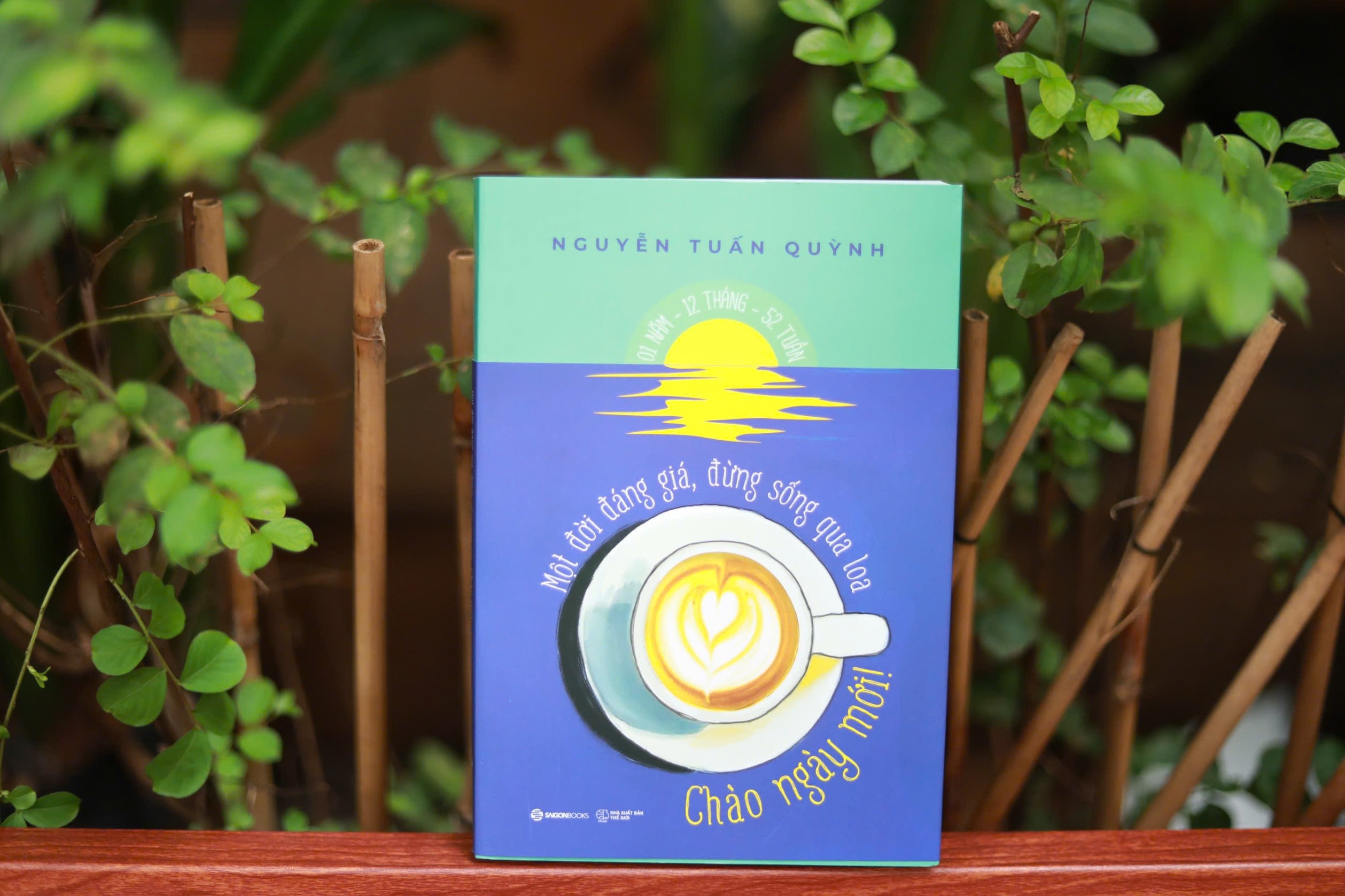 Nguyen Tuan Quynh anh 2