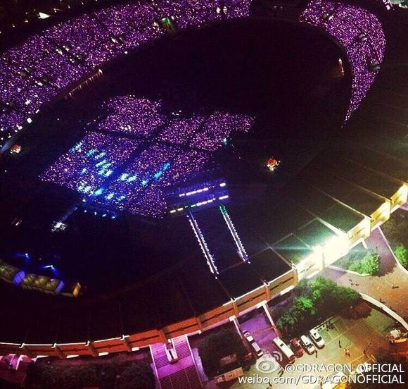 G-Dragon hoa Hoang Phi Hong anh 8