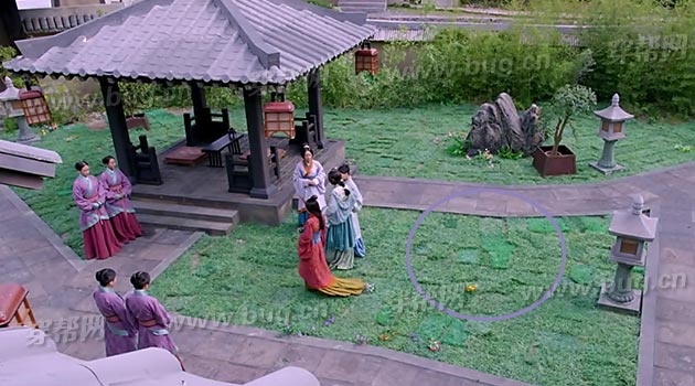 Loi co ban trong phim Lam Tam Nhu anh 12