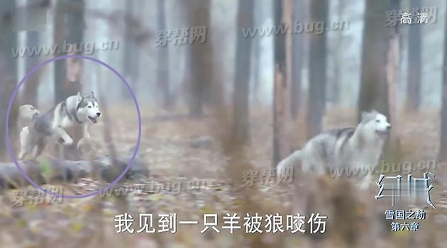 San phim Vuong quoc ao anh 10