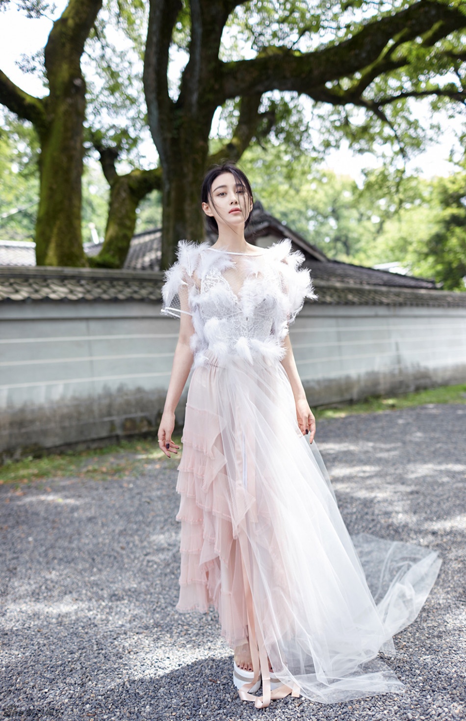 Truong Hinh Du noi ve Pham Bang Bang anh 6